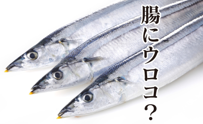 北海道産】灰干し秋刀魚開き(さんま) 1枚｜つきぢ 尾粂の通販